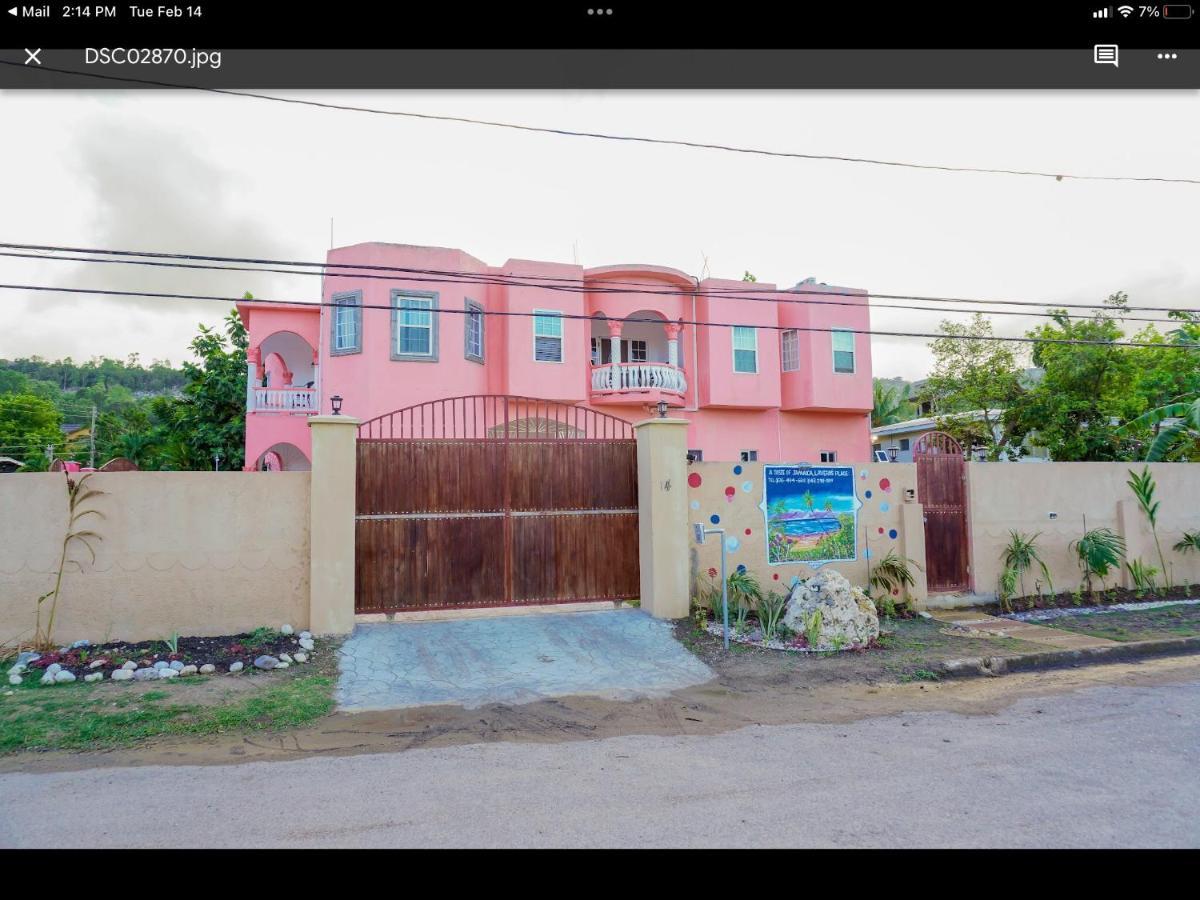 A Taste Of Jamaica Lavern'S Place Ocho Rios Exterior photo